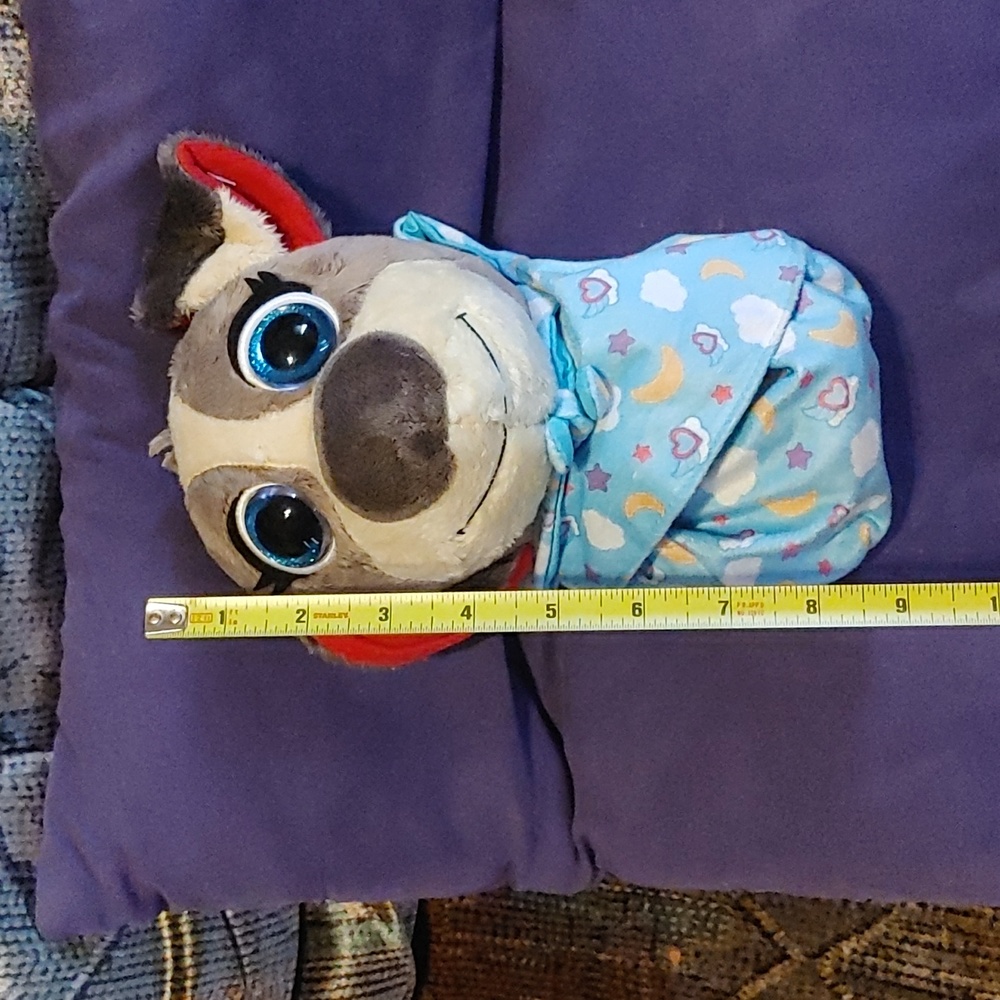 Disney jr. Pablo the puppy